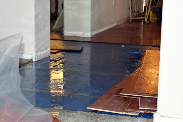 Professional Water Damage Restoration technician working in Vader, WA